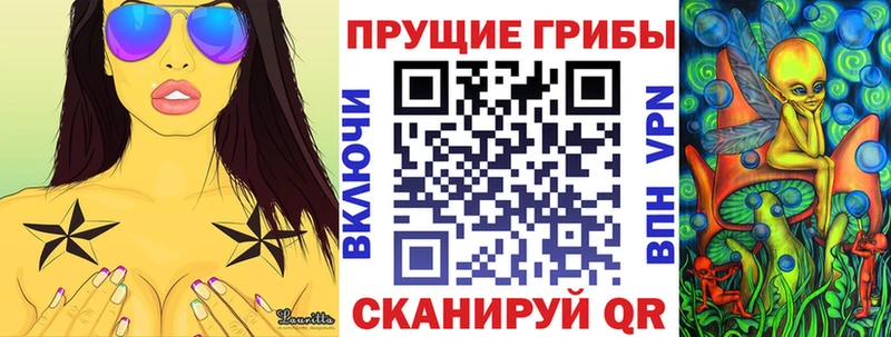 цены   Зубцов  Псилоцибиновые грибы Magic Shrooms 