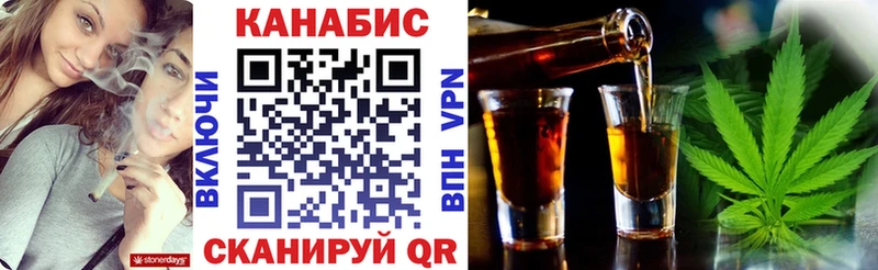 как найти наркотики  Зубцов  Шишки марихуана сатива 